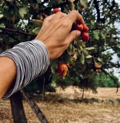la molla Armreife<»Armband 97« aus Edelstahlfedern