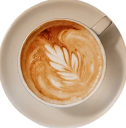 Torrefaktum Kaffee & Tee<Bio-Filterkaffeebohnen »Honduras«