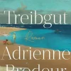 ZEIT Buchhandlung Romane<Brodeur, A: Treibgut