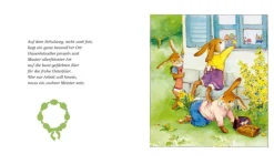 Kinder ZEIT Buchhandlung Kinderbücher Ab 3 Jahre<Die Häschenschule: Alle Geschichten in einem Band