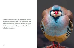 DIE ZEIT Geschenkbücher<»Du siehst aus, wie ich mich fühle« -Buch