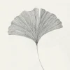 The Poster Club Wandbilder & Wanddekoration<Frois, Ana: »Ginkgo Leaf«