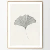 The Poster Club Wandbilder & Wanddekoration<Frois, Ana: »Ginkgo Leaf«, mit Rahmung