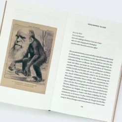 ZEIT Buchhandlung Romane<Hilal, M: Hässlichkeit