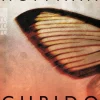 ZEIT Buchhandlung Krimis & True Crime<Hoffman, Jilliane: Cupido