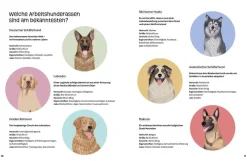 Kinder ZEIT Buchhandlung Kinderbücher Ab 9 Jahre<Hunde am Werk