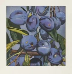 Karin Kneffel Alle Werke<Kneffel, Karin: »Pflaumen«, 2005
