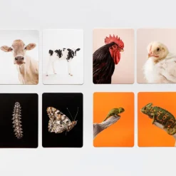 Kinder Laurence King Verlag Spiele Für Kinder<Memo »Klein und Groß«