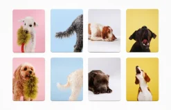 Kinder Laurence King Verlag Spiele & Puzzle|Spiele Für Kinder<Memo-Spiel »Hundesprache - Verstehst du deinen Hund?«