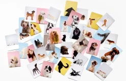 Kinder Laurence King Verlag Spiele & Puzzle|Spiele Für Kinder<Memo-Spiel »Hundesprache - Verstehst du deinen Hund?«