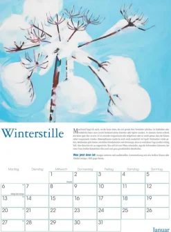 DIE ZEIT Kalender<»Neulich im Beet« Kalender 2025