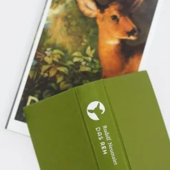 ZEIT Buchhandlung Sachbücher<Neumaier, Rudolf: Das Reh