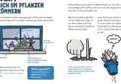 Kinder ZEIT Buchhandlung Kinderbücher Ab 9 Jahre<Newman, Catherine: Alles, was Du in der Schule nicht lernst