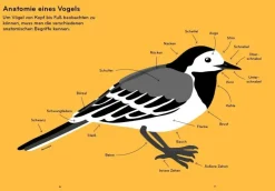 Kinder ZEIT Buchhandlung Kinderbücher Ab 9 Jahre<Ornithorama