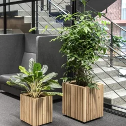 Squarely Gartenhelfer|Dekoration & Vasen<Pflanzgefäß »GrowBIG«