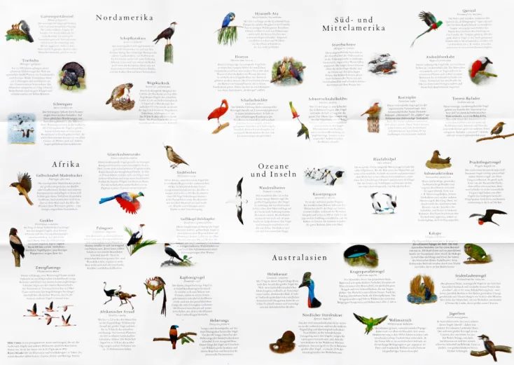 Kinder Laurence King Verlag Spiele & Puzzle|Puzzle Für Kinder<Puzzle »In 50 Vögeln um die Welt«