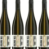 KOLONNE NULL Weißwein|Alkoholfrei<Riesling 2023, alkoholfrei, 6er Set