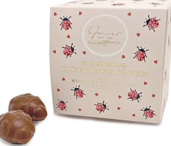 Gmeiner Pralinen<Schokobox »Viel Glück«