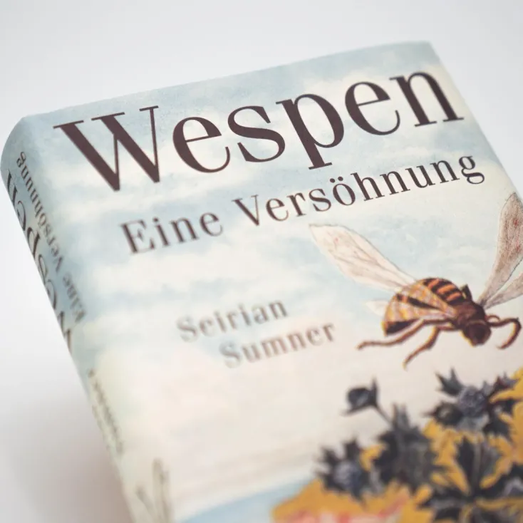 ZEIT Buchhandlung Sachbücher<Seirian Sumner: Wespen – Eine Versöhnung