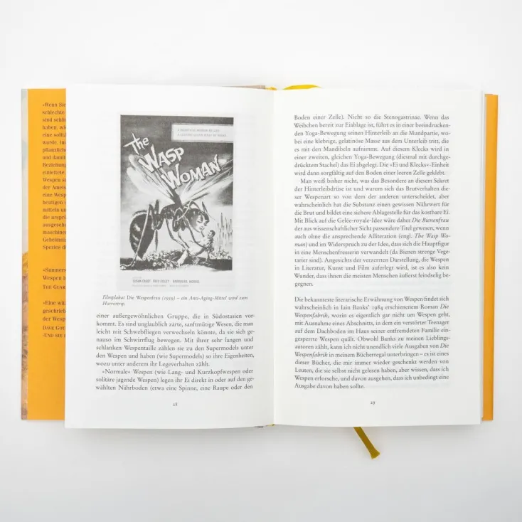 ZEIT Buchhandlung Sachbücher<Seirian Sumner: Wespen – Eine Versöhnung