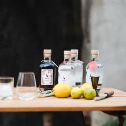 GANS Feinbrand Manufaktur Gin & Vodka<»Sloe Gin« von GANS