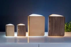 Gingko Design Ltd Tisch- & Leseleuchten|Schreibtischleuchten<Smart Booklight »Ahorn«