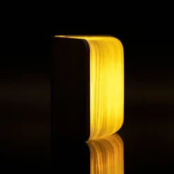 Gingko Design Ltd Tisch- & Leseleuchten|Schreibtischleuchten<Smart Booklight »Ahorn«