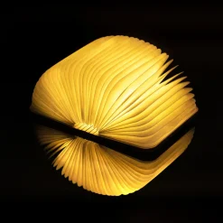 Gingko Design Ltd Tisch- & Leseleuchten<Smart Booklight »Walnuss«