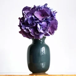 Hedwig Bollhagen Dekoration & Vasen<Werner Burri Vase W29B