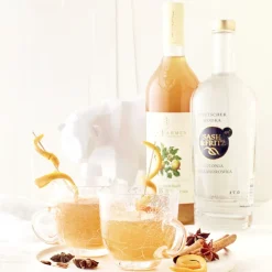 SASH & FRITZ Gin & Vodka<Wodka-Apfel-Set »Heißer Fritz«