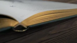 Kinder ZEIT Buchhandlung Kinderbücher Ab 6 Jahre<Wundervolle Welt der Tiere