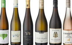 DIE ZEIT Sondereditionen|Weißwein<ZEIT-Weinedition »Pfalz«