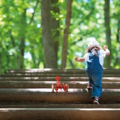 Kinder GOKI Nikolausgeschenke|Holzspielzeug<Ziehtier »Hummer Rüdiger«